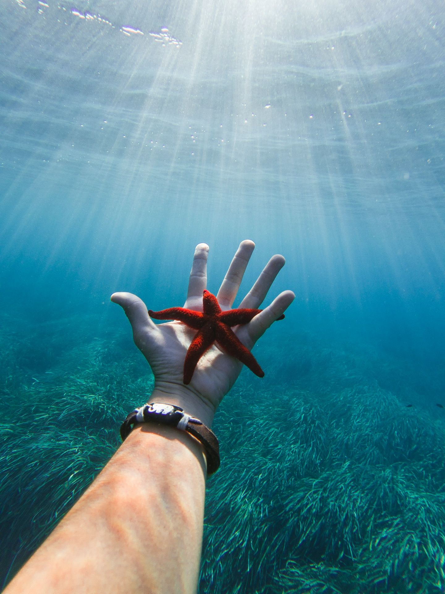 person in black shorts under water